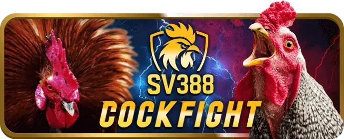 23win tài trợ sự kiện thể thao lớn