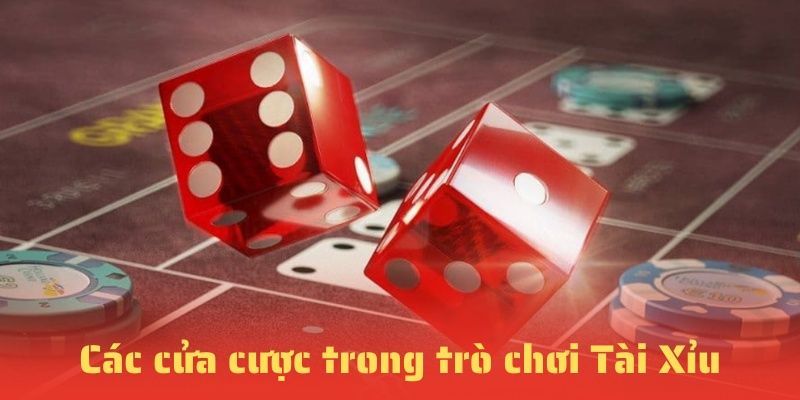 Các cửa cược Tài Xỉu 23WIN được yêu thích nhất